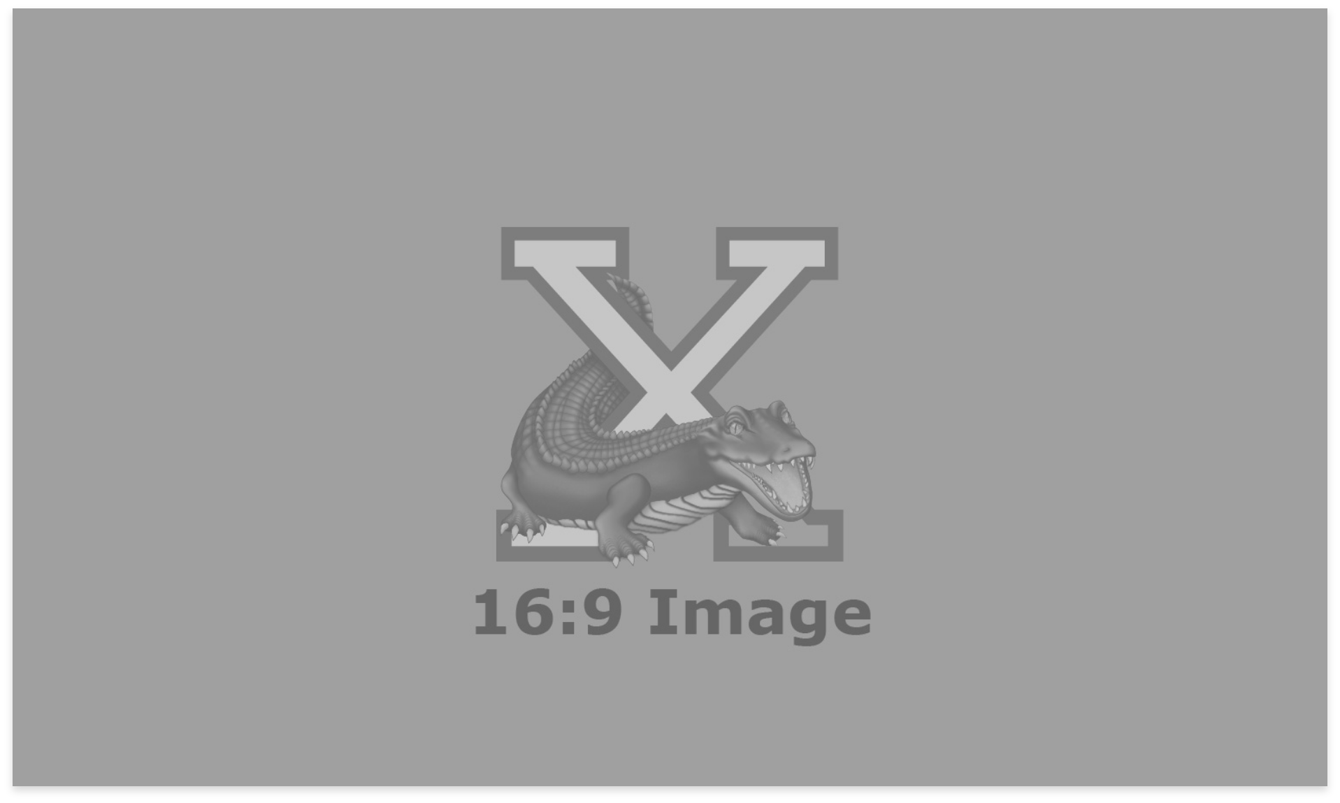 placeholder_image_16-9-ratio@2x placeholder_image_16-9-ratio@2x