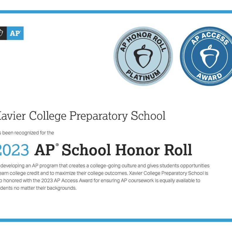 Platinum_AP_Honor_Roll_Access_Award_Certificate_2023 (2)